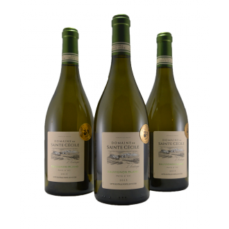 Domaine de Saint Cecile Sauvignon Blanc Languedoc Fankrijk 2015