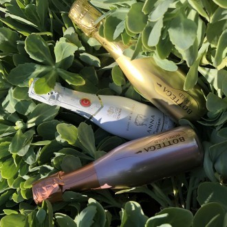 TAKE AWAY Aperitief Bottega GOLD voor 2 personen