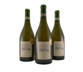 Domaine de Saint Cecile Sauvignon Blanc Languedoc Fankrijk 2015