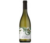 El Castilla Chardonnay Viura Spanje