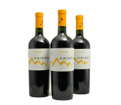 Kaiken Estate Malbec  Terroir Reserva Mendoza Argentinië 2018