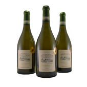 Domaine de Saint Cecile Sauvignon Blanc Languedoc Fankrijk 2015