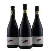 Les Vignerons de Cres Portiragnes In Vino Erotico Coteaux du Libron Rouge France 2017